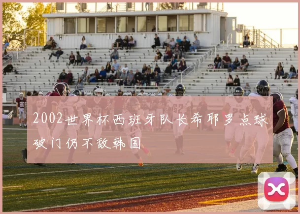 2002世界杯西班牙队长希耶罗点球破门仍不敌韩国