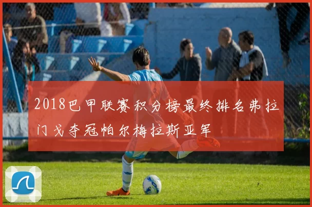2018巴甲联赛积分榜最终排名弗拉门戈夺冠帕尔梅拉斯亚军